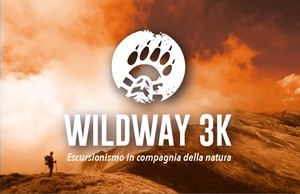 wildway 3k